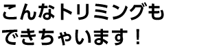 こんなトリミングもできちゃいます！